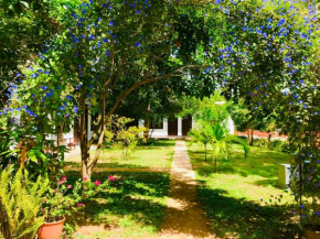Hotel First Kingdom - Anuradhapura